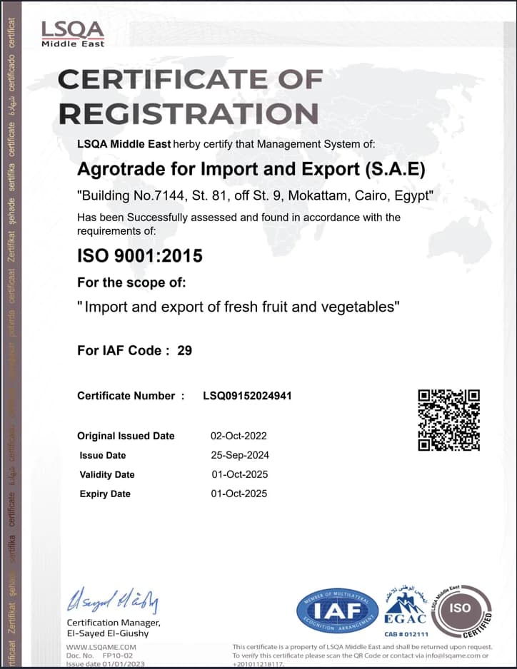 ISO Quality Management