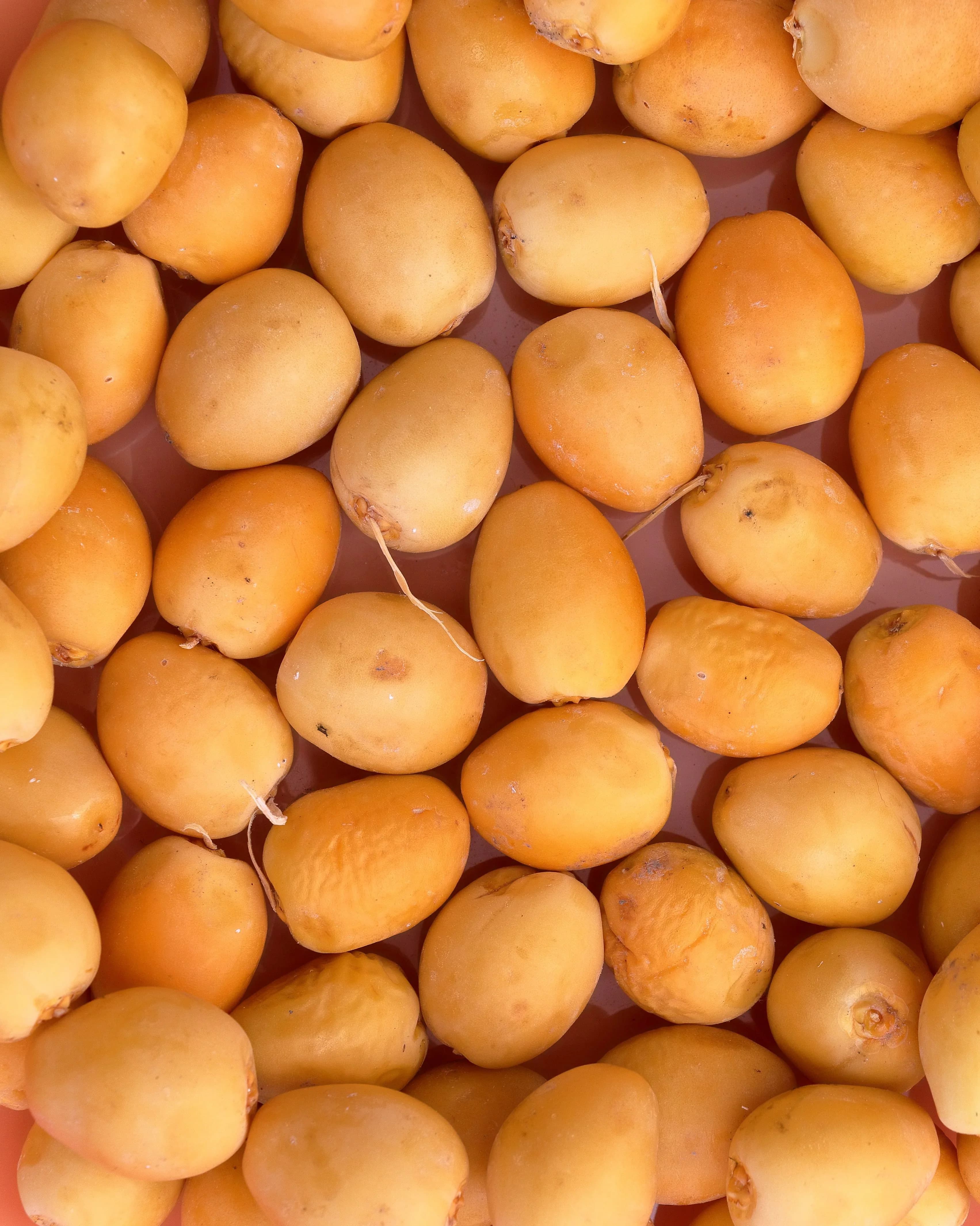 How Do Modern Farms Use Resources More Efficiently?