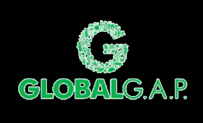 Certificate partner logo 9